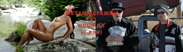 индика Богородск