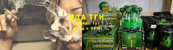 индика Богородск
