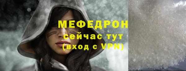 индика Богородск