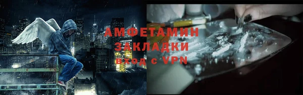 индика Богородск