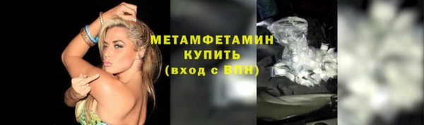 индика Богородск
