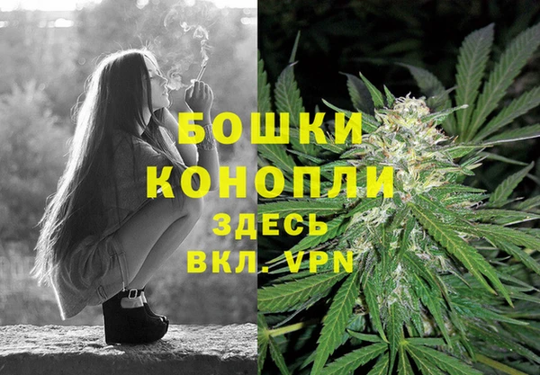 индика Богородск
