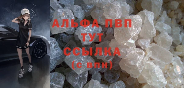 индика Богородск
