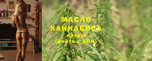 индика Богородск