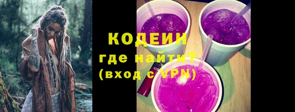 индика Богородск